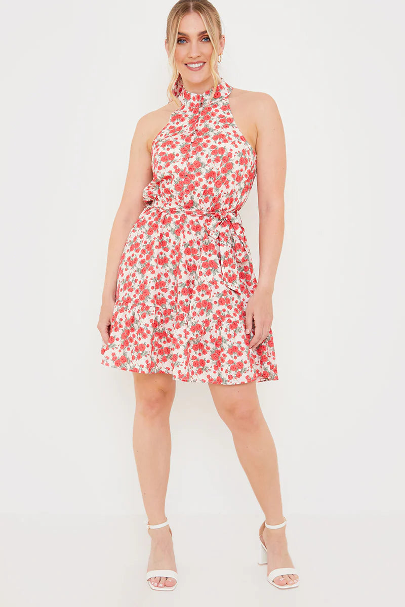 Polo In The Park Dress