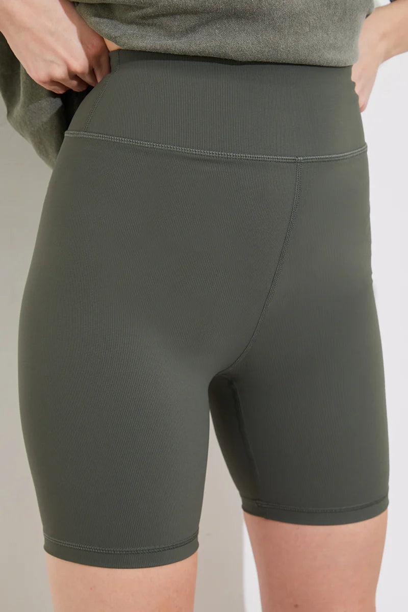 Sculpt and Control Cycle Shorts