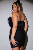 Bandeau Faux Feather Trim Mini Dress