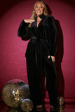 Velvet Wide Leg Trouser