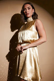 Liquid Satin Mini Dress