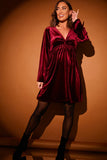 Velvet Twist Front Skater Dress