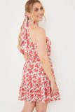 Polo In The Park Dress