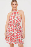 Polo In The Park Dress