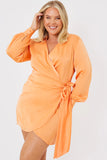 Wrap Dress